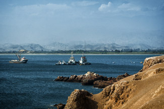 _NK27195
