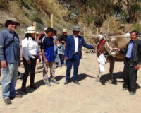 Gestión Social: Productores ganaderos