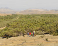 Perumin 2017: Antamina y su gestión socio-ambiental en el Bosque de Huarmey