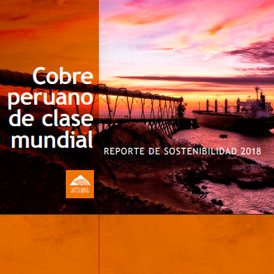 Reporte de Sostenibilidad 2017