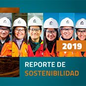 Reporte de Sostenibilidad 2017