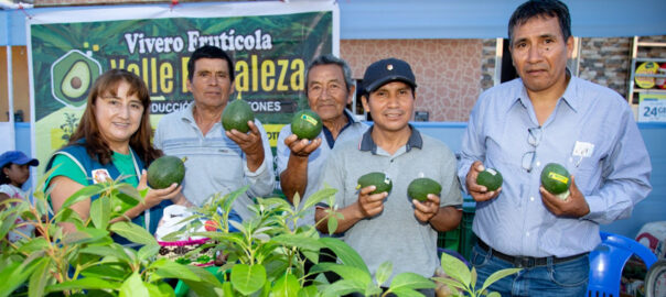 Emprendedores del Valle Fortaleza