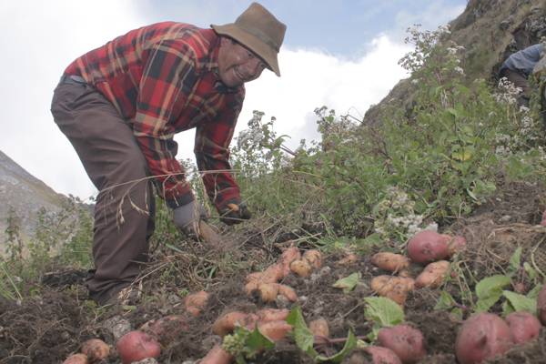 Obras por Impuestos